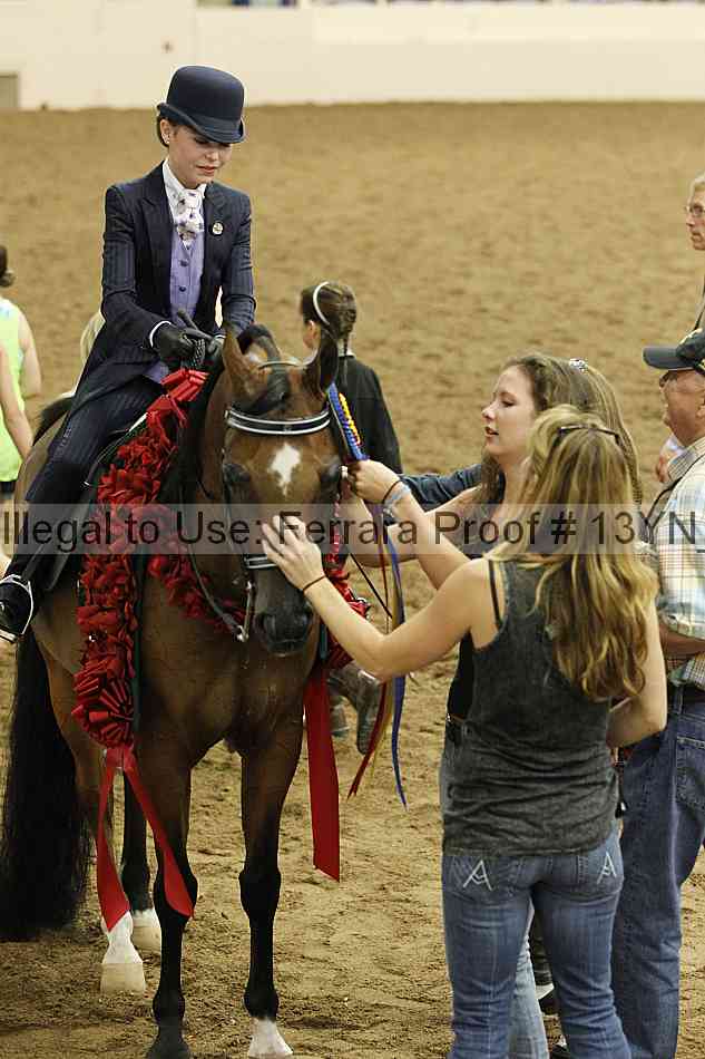 Proof 13yn_17033