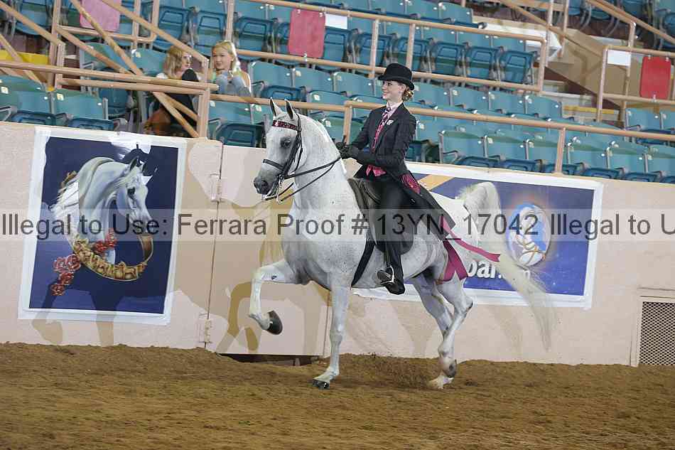 Proof 13yn_17042