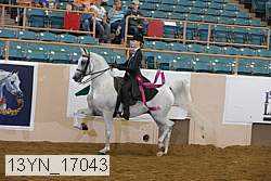 13yn_17043 proof