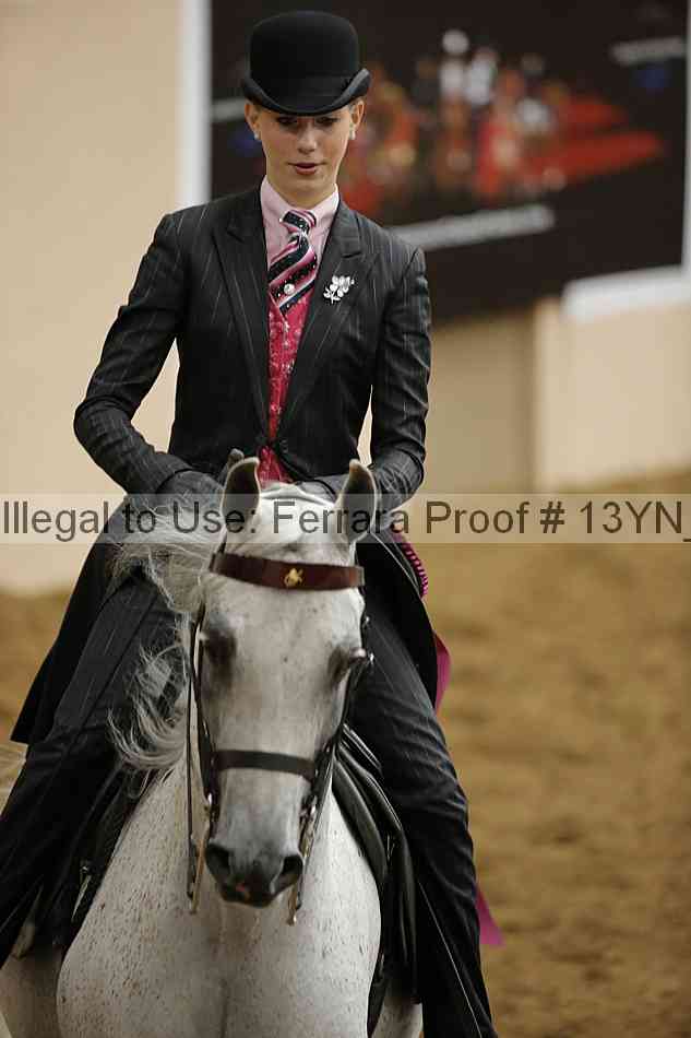 Proof 13yn_17047