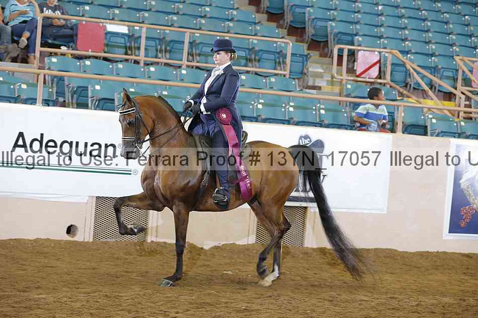 Proof 13yn_17057