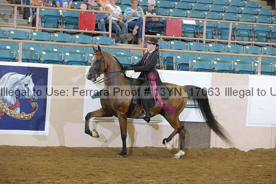 Proof 13yn_17063