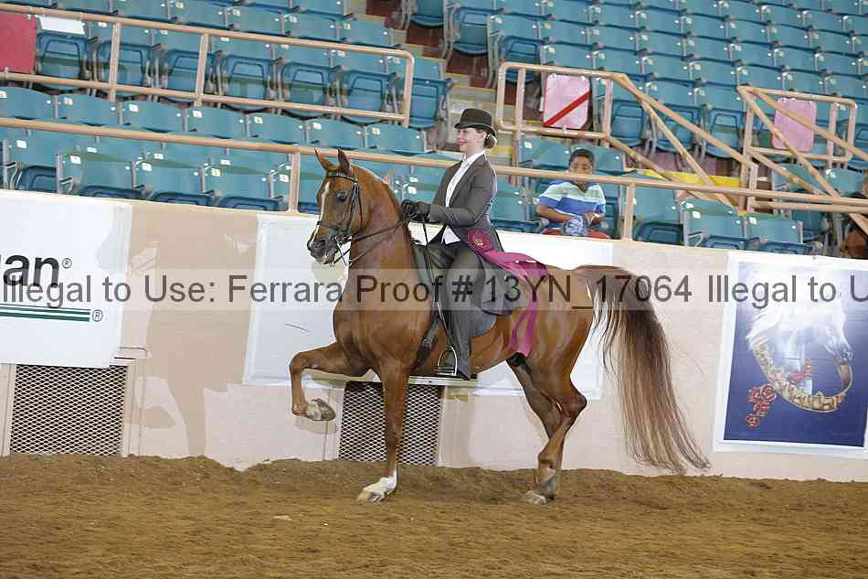 Proof 13yn_17064