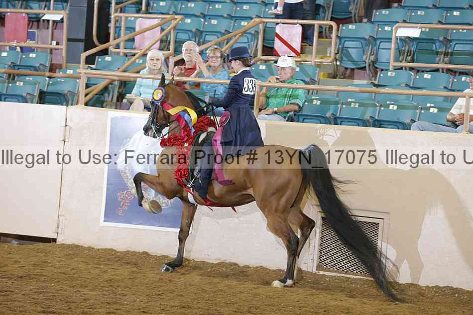 Proof 13yn_17075