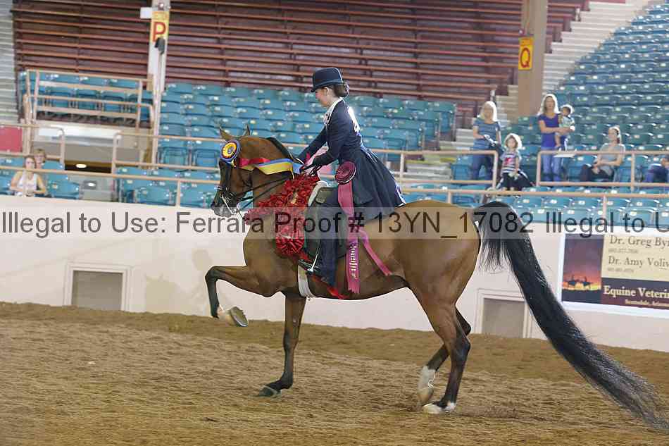 Proof 13yn_17082