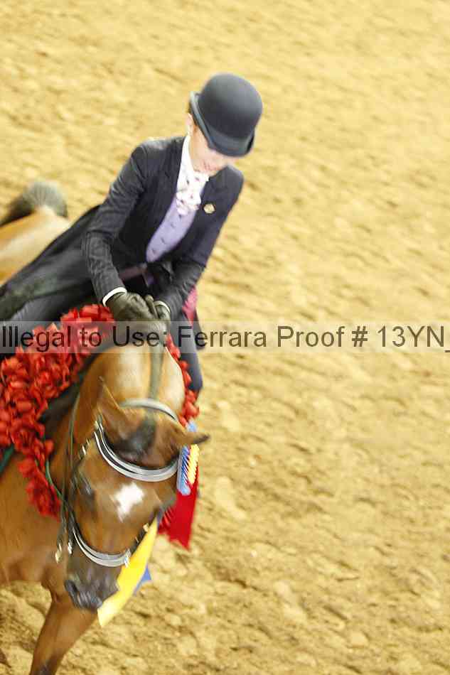 Proof 13yn_17085