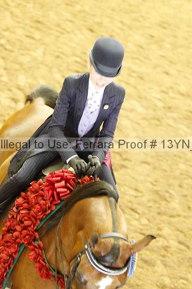 Proof 13yn_17086