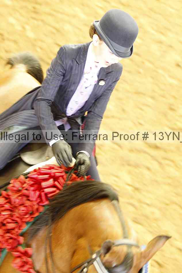 Proof 13yn_17087