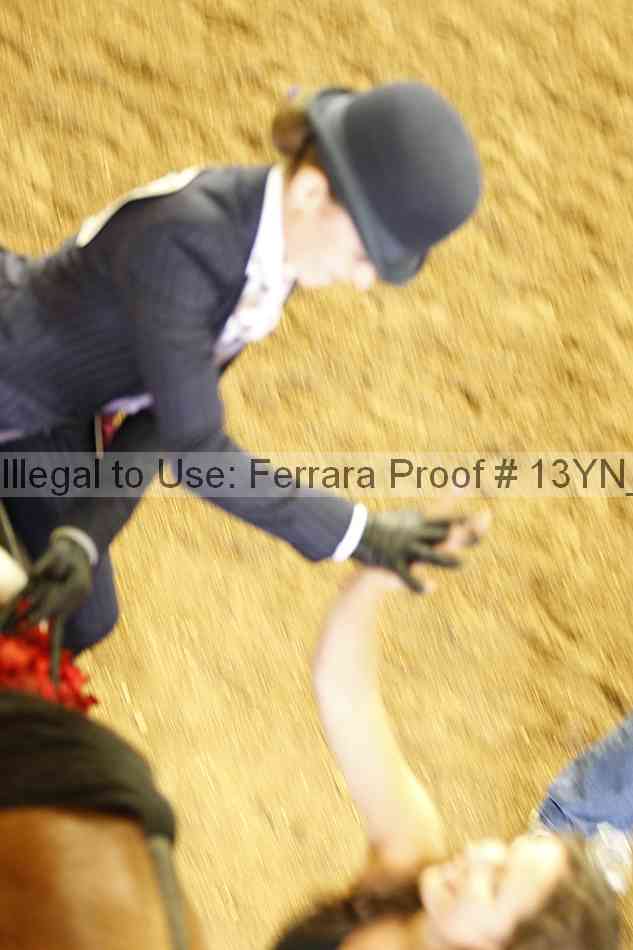 Proof 13yn_17088
