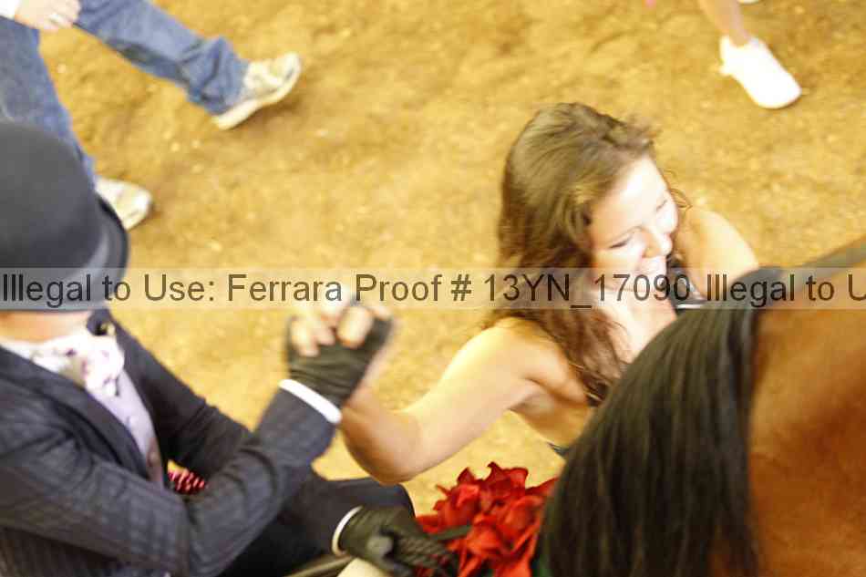 Proof 13yn_17090