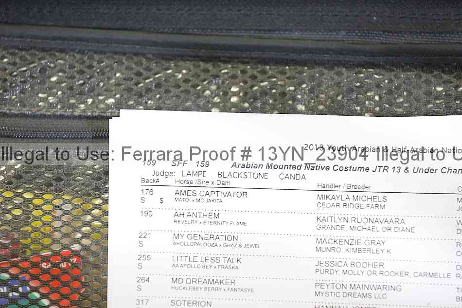 Proof 13yn_23904