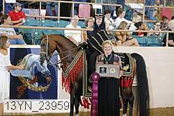 13yn_23959 proof