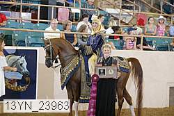 13yn_23963 proof
