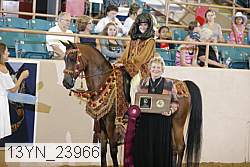 13yn_23966 proof