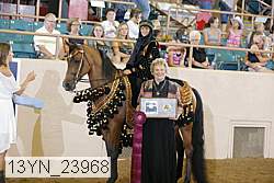 13yn_23968 proof