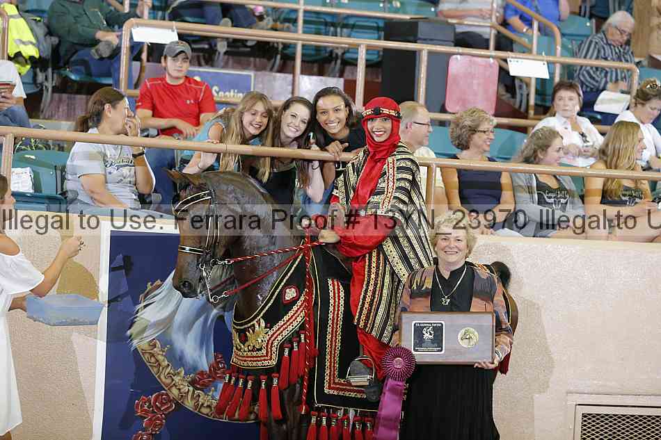 Proof 13yn_23970