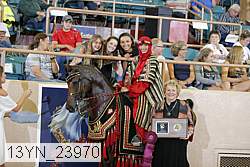 13yn_23970 proof