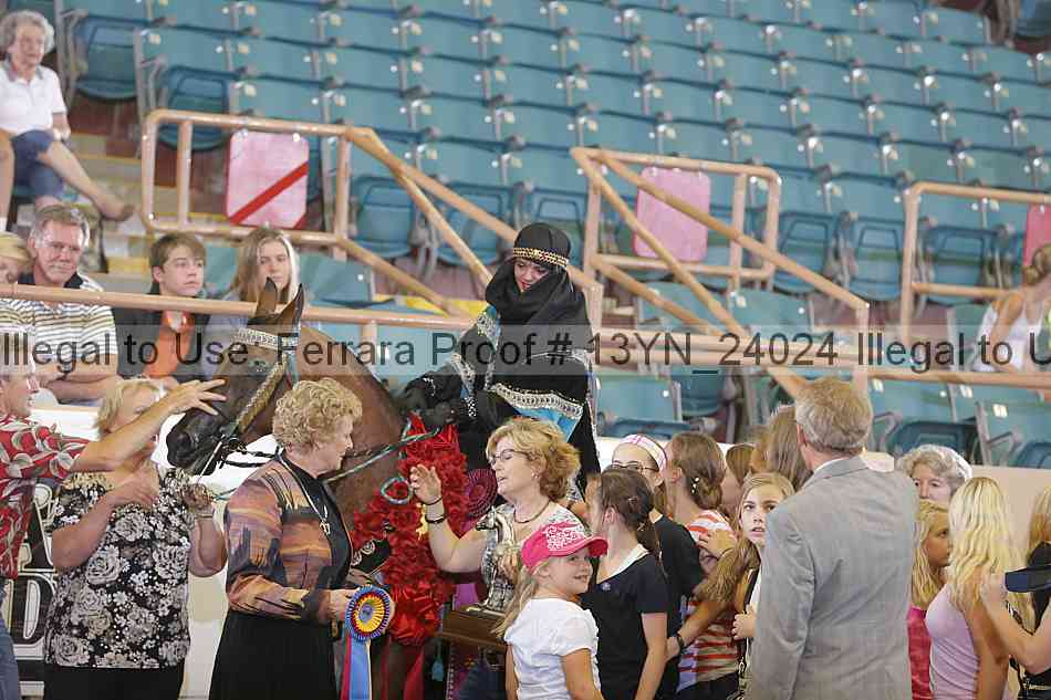 Proof 13yn_24024