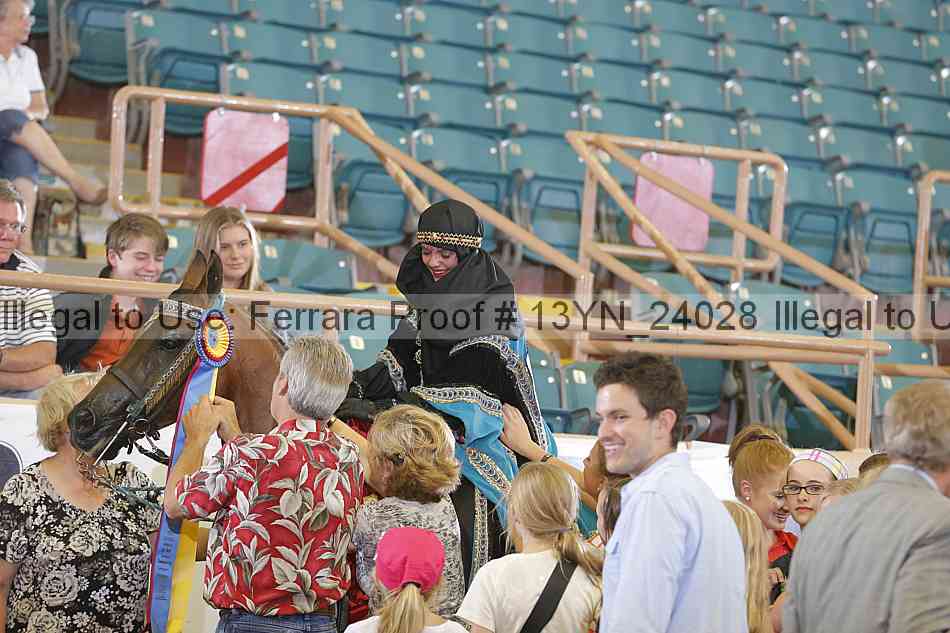 Proof 13yn_24028