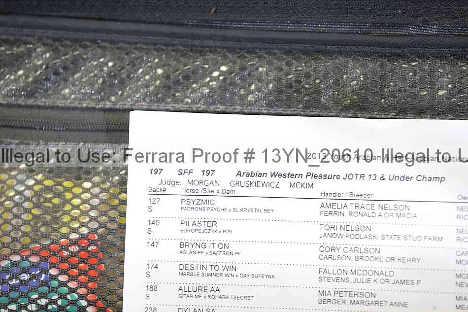 Proof 13yn_20610