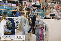 13yn_20667 proof