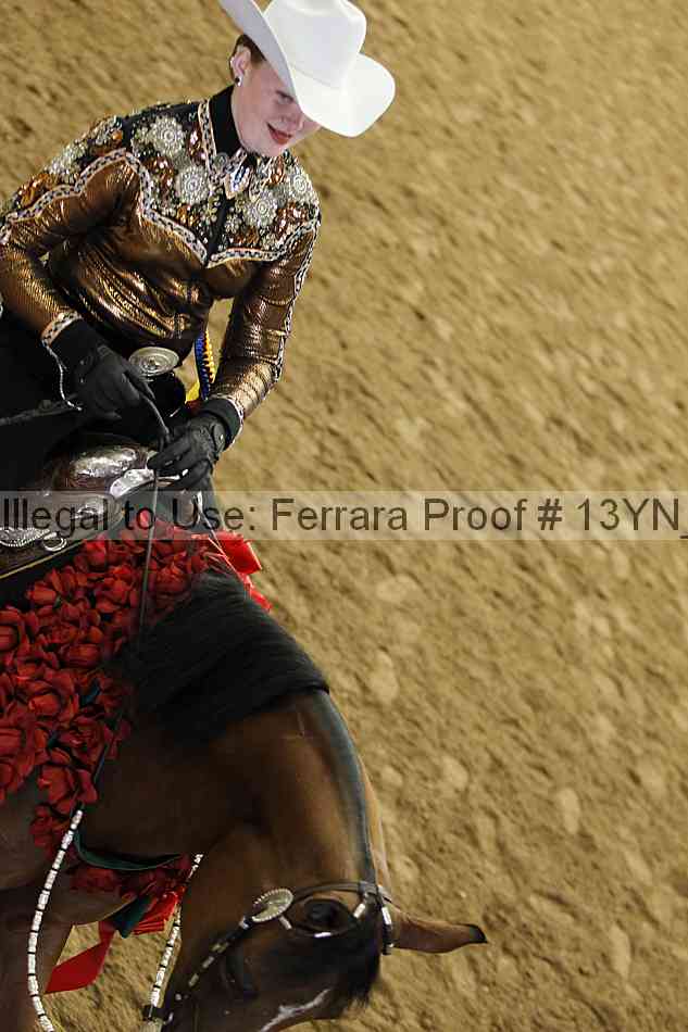 Proof 13yn_20814
