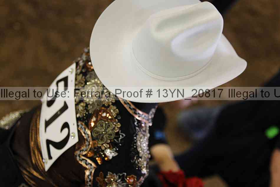 Proof 13yn_20817