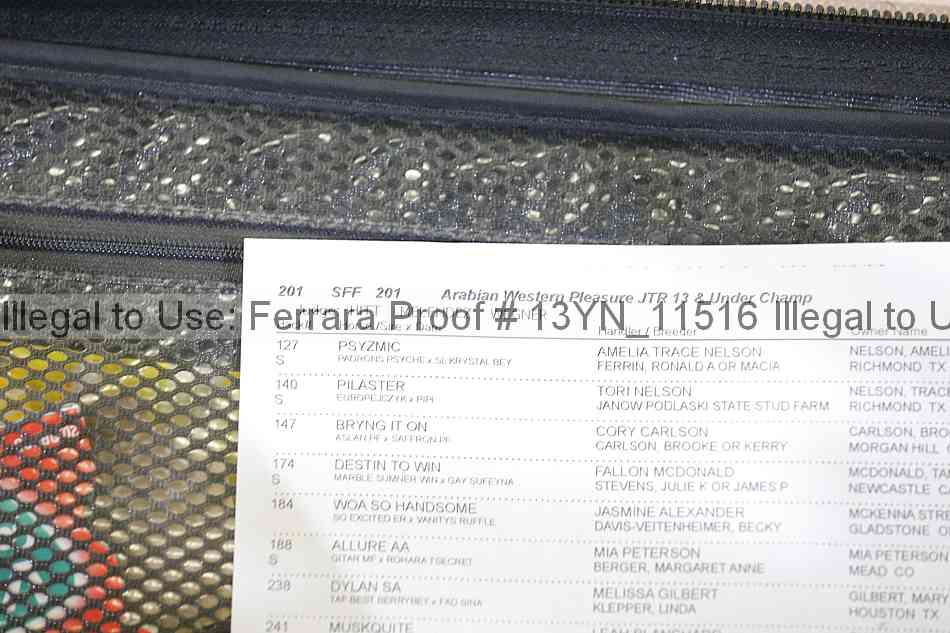 Proof 13yn_11516