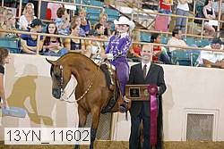 13yn_11602 proof