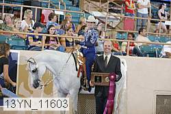 13yn_11603 proof