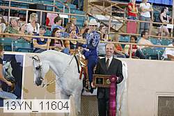 13yn_11604 proof