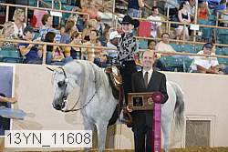 13yn_11608 proof