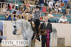 13yn_11609 proof