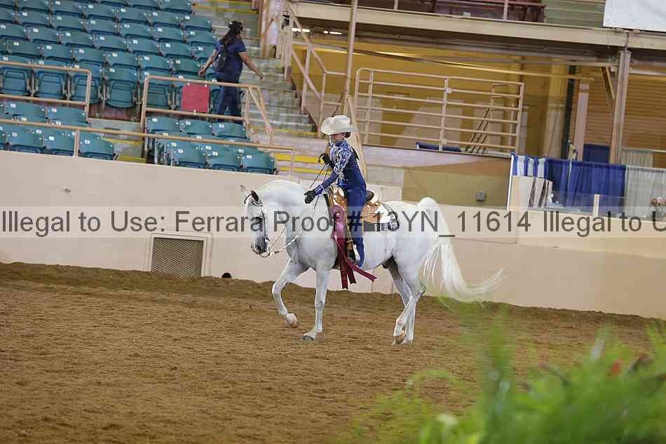 Proof 13yn_11614
