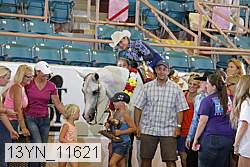 13yn_11621 proof
