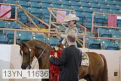13yn_11636 proof