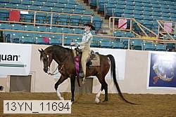 13yn_11694 proof