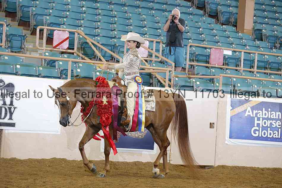 Proof 13yn_11703