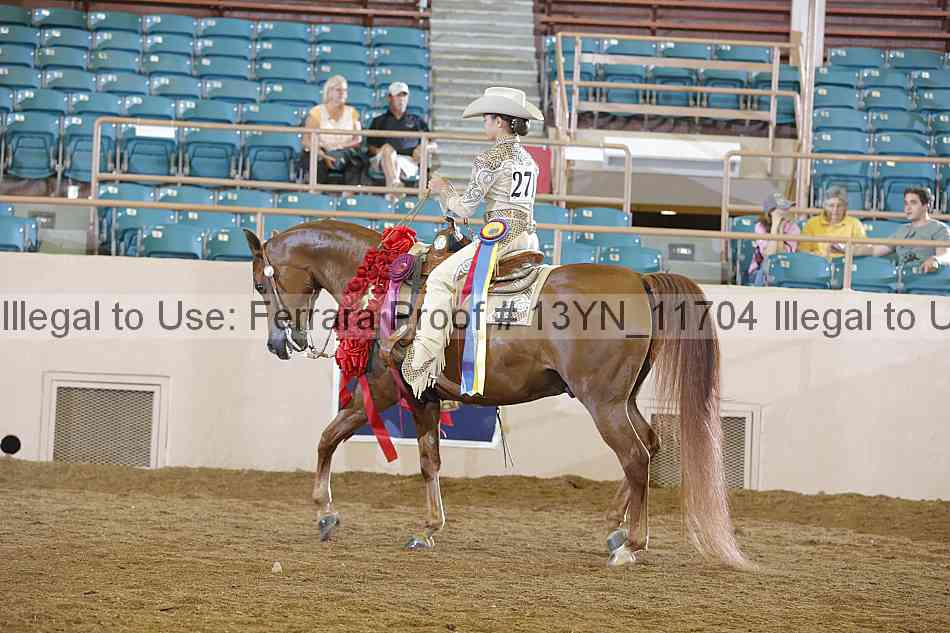 Proof 13yn_11704