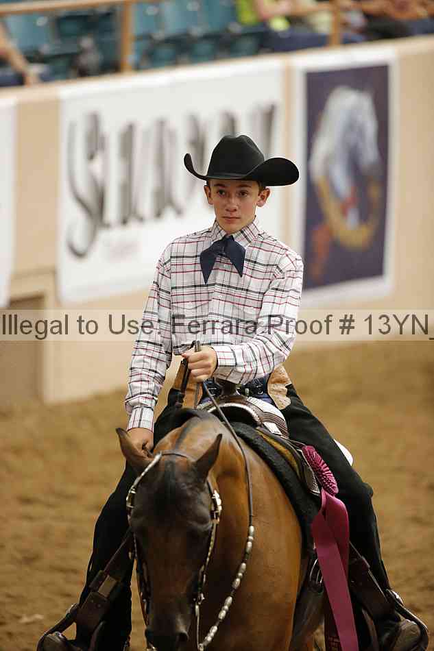 Proof 13yn_11706