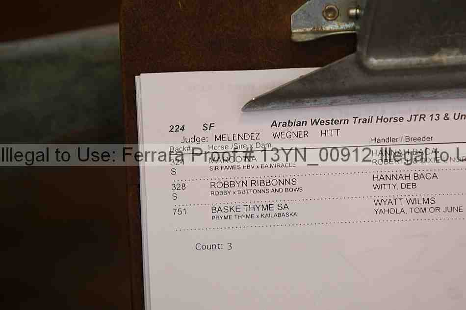 Proof 13yn_00912