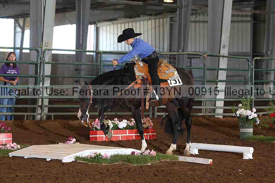 Proof 13yn_00915