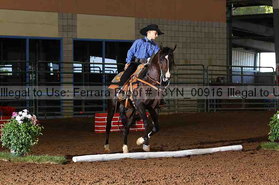Proof 13yn_00916