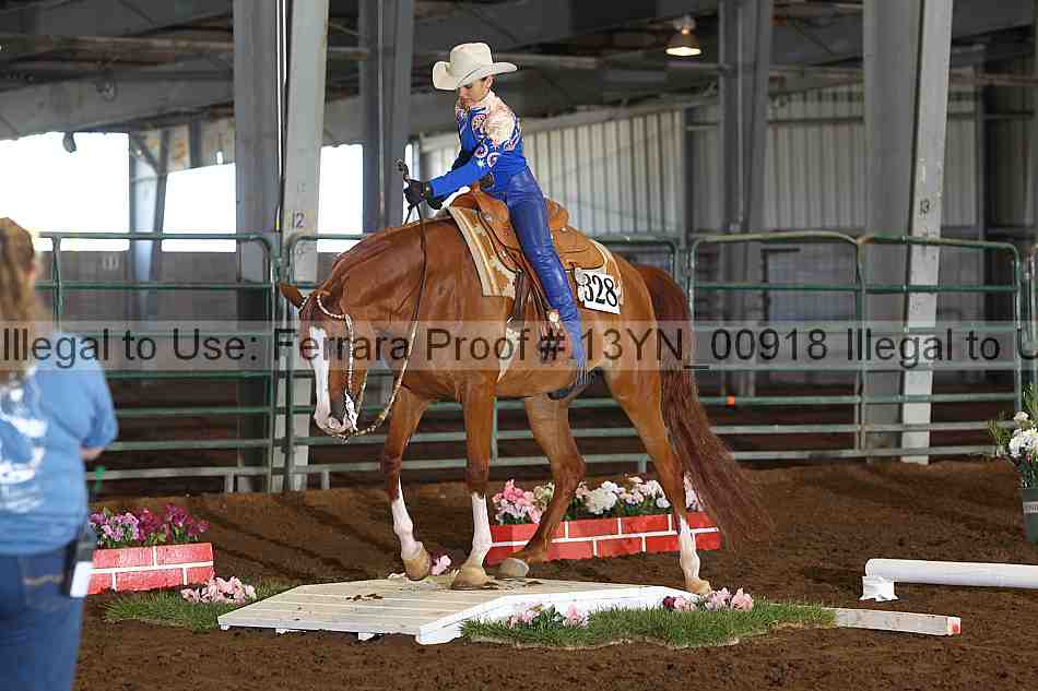 Proof 13yn_00918