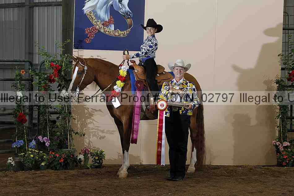Proof 13yn_02797