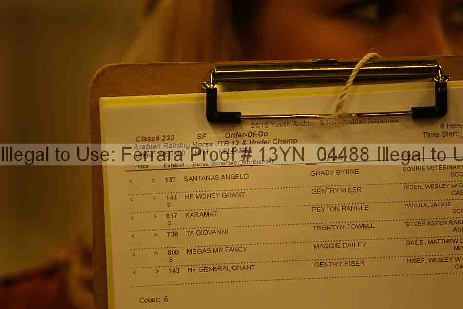 Proof 13yn_04488