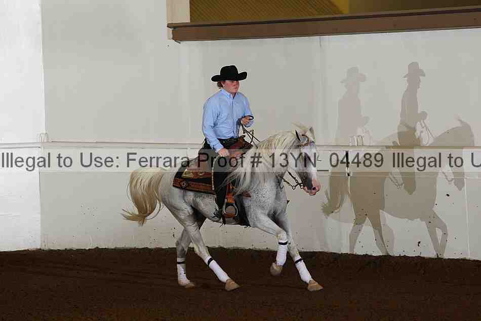 Proof 13yn_04489