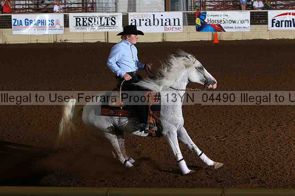 Proof 13yn_04490