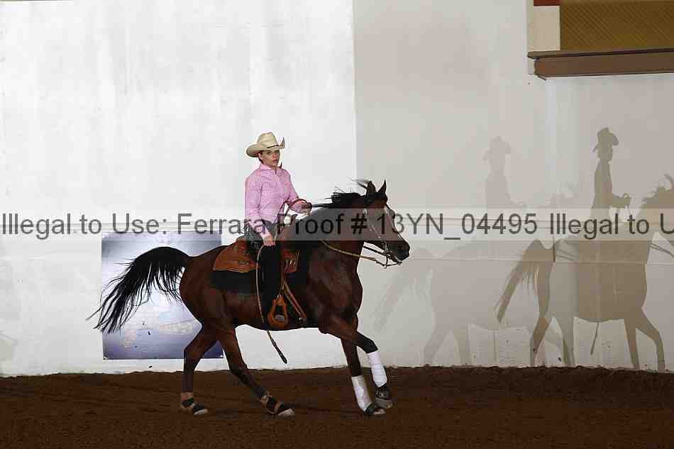 Proof 13yn_04495