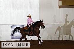 13yn_04495 proof